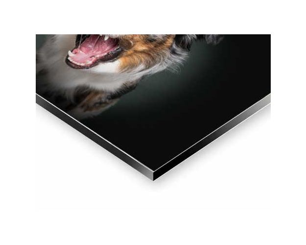 Aluminium Wall Art - I Am Waiting