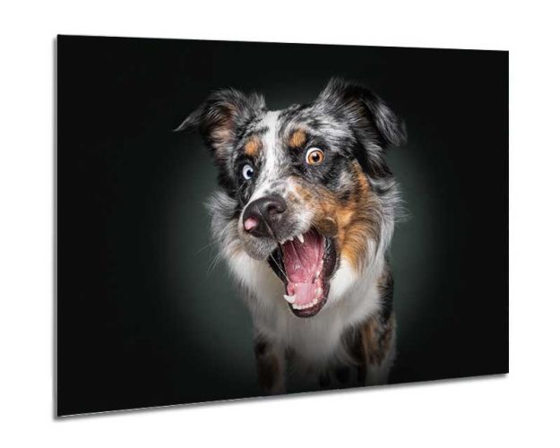 Aluminium Wall Art - I Am Waiting