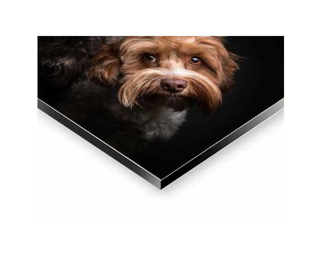 Aluminium Wall Art - Two Of Us