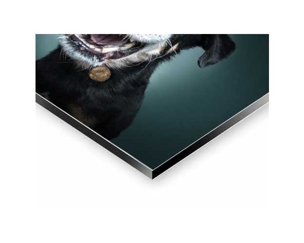 Aluminium Wall Art - Action