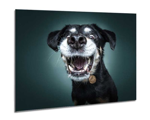 Aluminium Wall Art - Action