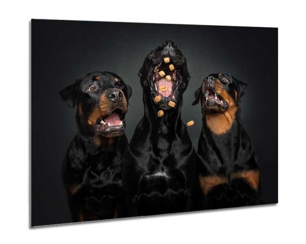 Aluminium Wall Art - How To Do It