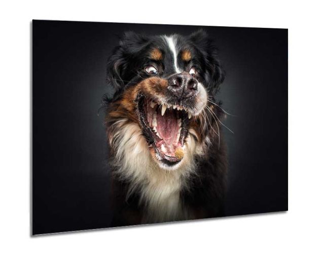 Aluminium Wall Art - Made My Day