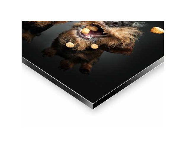 Aluminium Wall Art - Not For Me