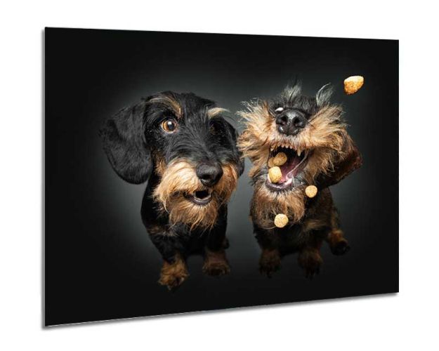 Aluminium Wall Art - Not For Me