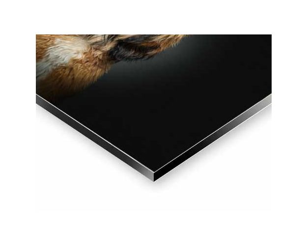 Aluminium Wall Art - Anything Else