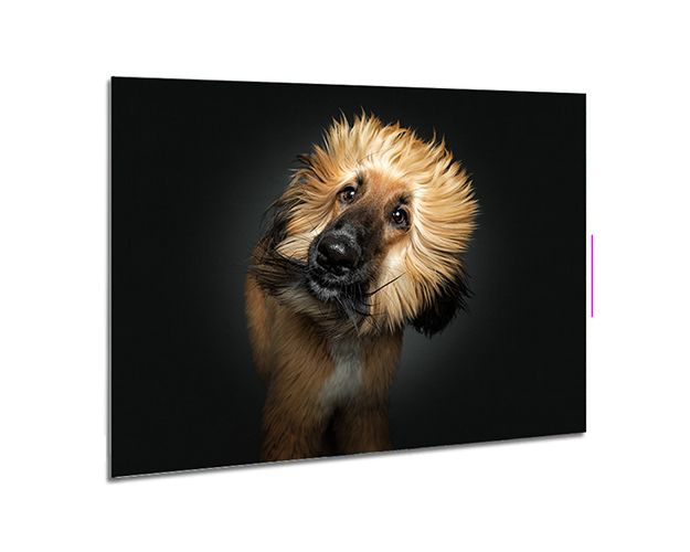 Aluminium Wall Art - Anything Else