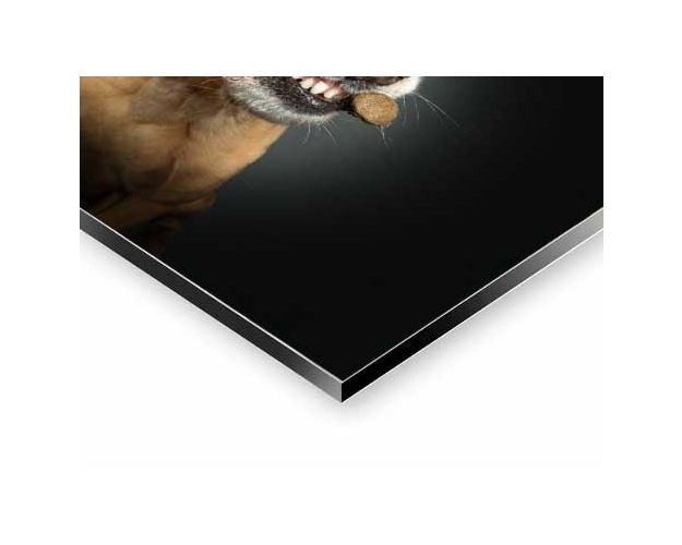 Aluminium Wall Art - Have It