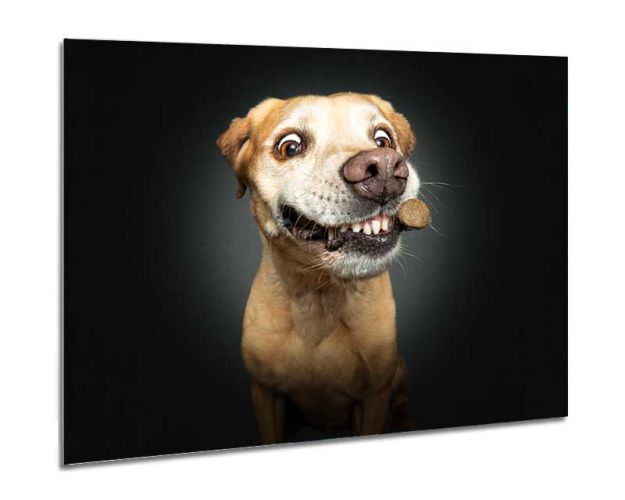 Aluminium Wall Art - Have It