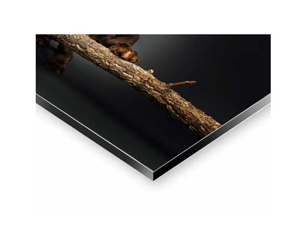 Aluminium Wall Art - Climbed