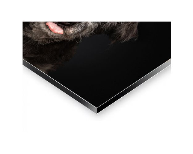 Aluminium Wall Art - Aetsch!