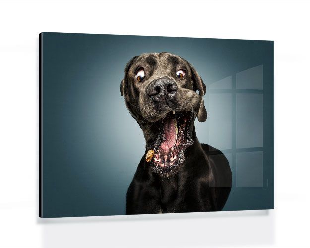 Gallery Board - Bobba