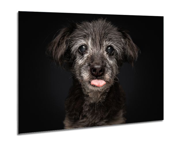 Aluminium Wall Art - Aetsch!