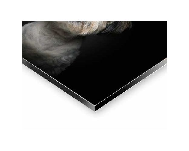 Aluminium Wall Art - Not You