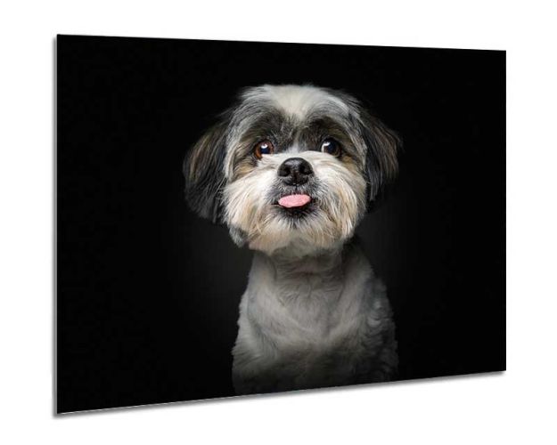 Aluminium Wall Art - Not You