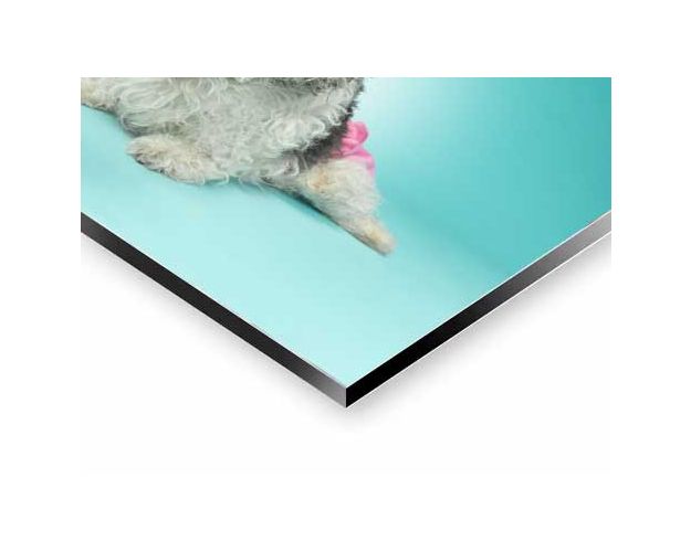 Aluminium Wall Art - Curly Sue