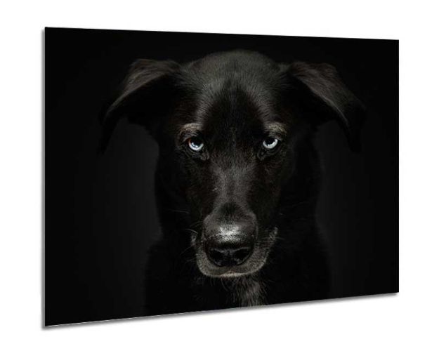 Aluminium Wall Art - The Black One