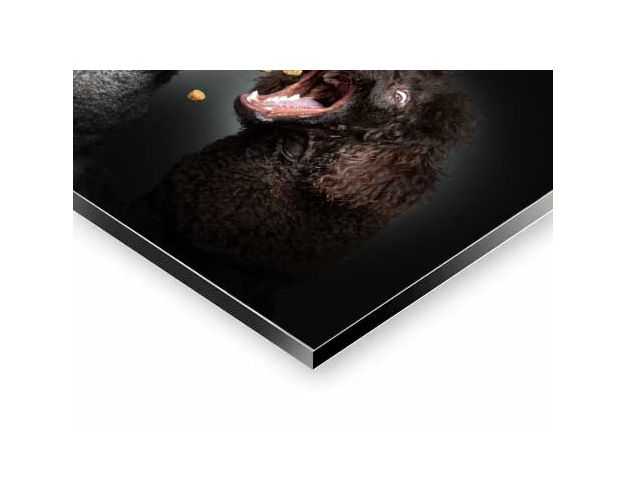 Aluminium Wall Art - Why For Him