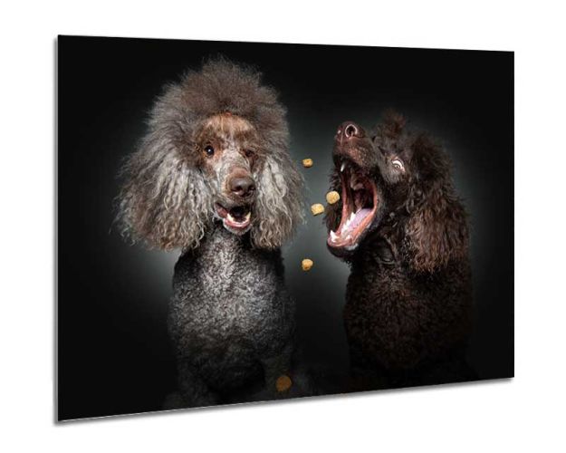 Aluminium Wall Art - Why For Him