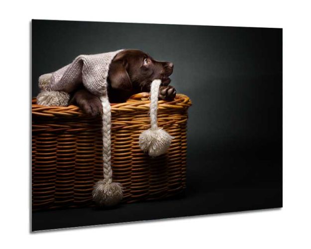 Aluminium Wall Art - Sleepin