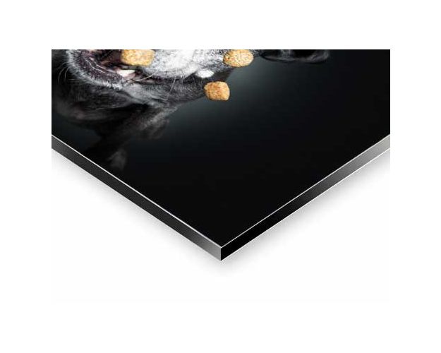 Aluminium Wall Art - Give Me Five