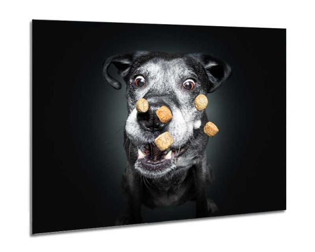 Aluminium Wall Art - Give Me Five