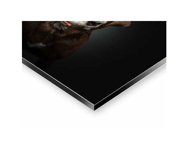 Aluminium Wall Art - Soooo Small