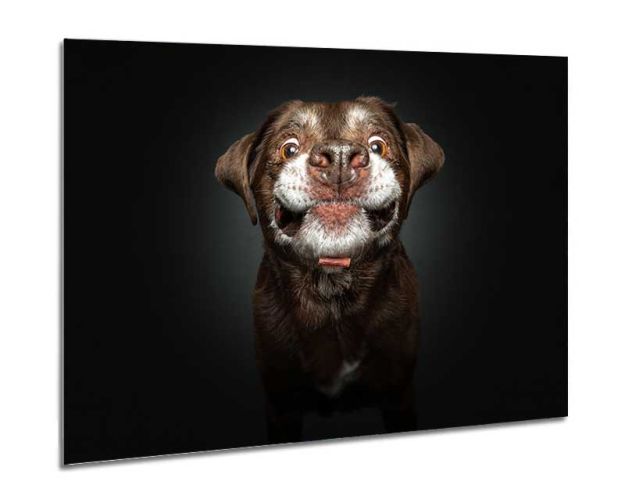 Aluminium Wall Art - Soooo Small