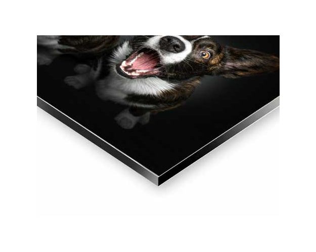 Aluminium Wall Art - Who Get It