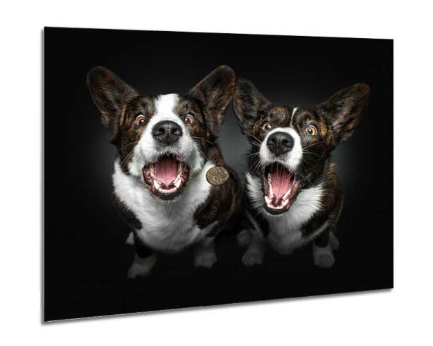 Aluminium Wall Art - Who Get It