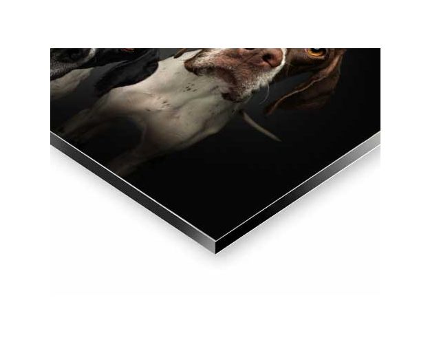 Aluminium Wall Art - What To Do Now