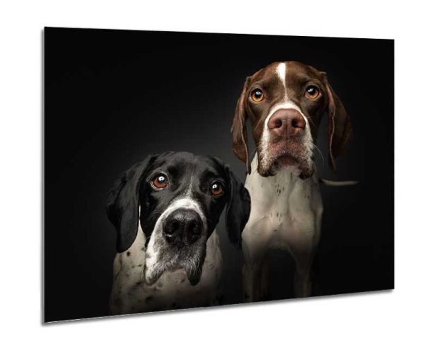 Aluminium Wall Art - What To Do Now