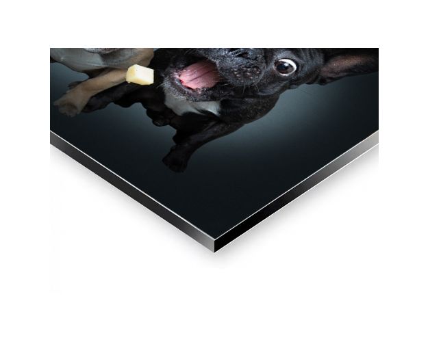 Aluminium Wall Art - Forever & Ever