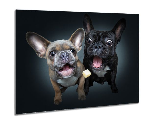 Aluminium Wall Art - Forever & Ever