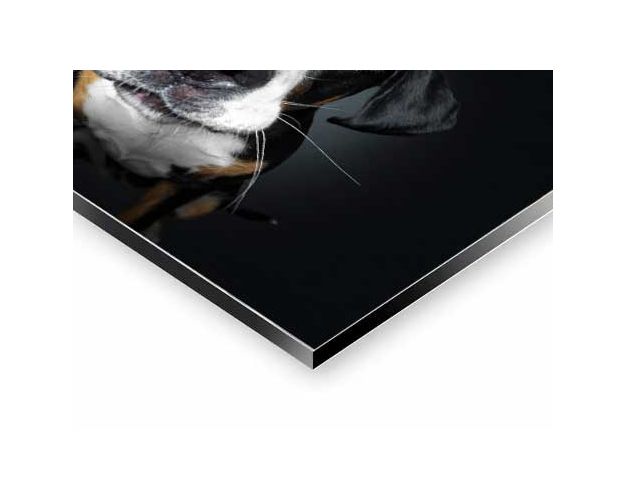 Aluminium Wall Art - A Suspicious Mind