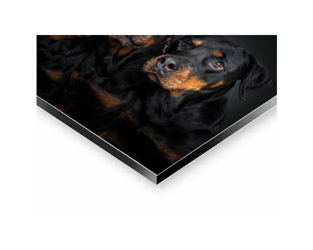 Aluminium Wall Art - The Fab 4