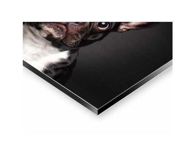 Aluminium Wall Art - The Philosopher