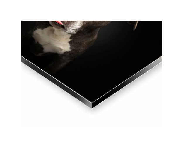 Aluminium Wall Art - Not Funny!