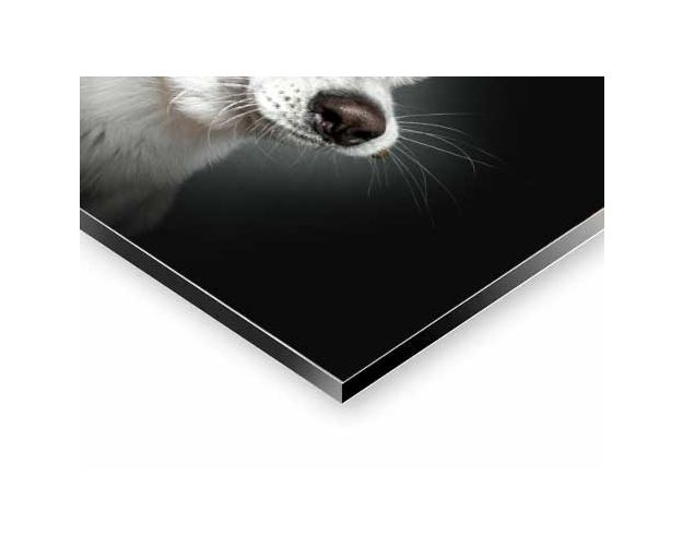 Aluminium Wall Art - Come On