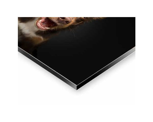 Aluminium Wall Art - Can't See It