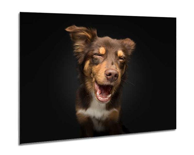 Aluminium Wall Art - Can't See It