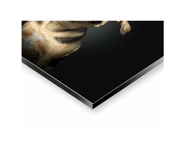 Aluminium Wall Art - Got It