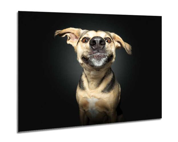 Aluminium Wall Art - Got It