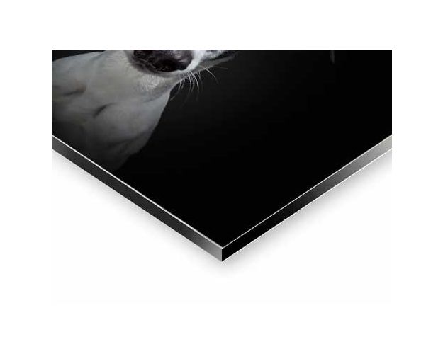 Aluminium Wall Art - Black & White