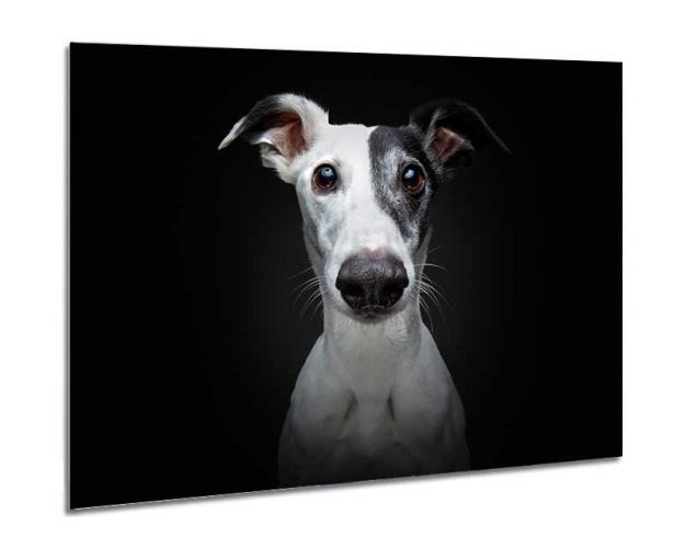 Aluminium Wall Art - Black & White