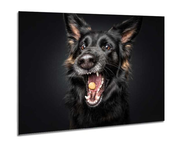 Aluminium Wall Art - Mine