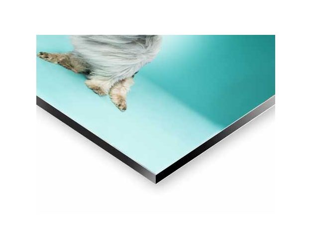 Aluminium Wall Art - Bad Hair Day