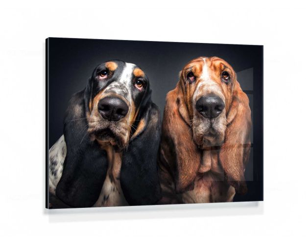 Gallery Board - Anything Happened