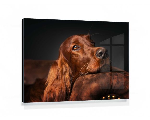 Gallery Board - Chilled