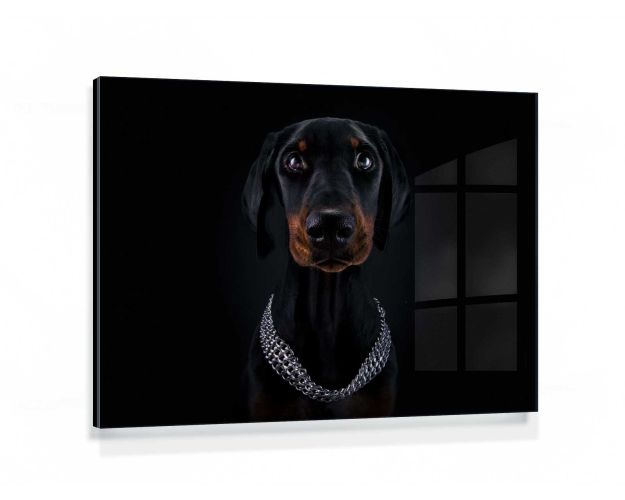 Gallery Board - Diamonds Are The Girls Best Friend